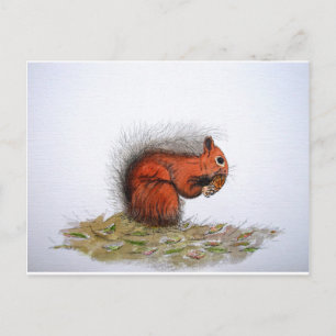 Roter Kiefer Postkarte