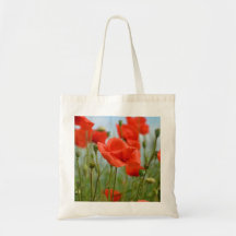 Roter Klatschmohn