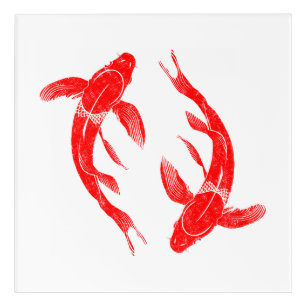 Roter Koi-Fischkarpfen Acryldruck
