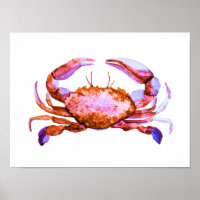 Roter Krebs Aquarelldruck