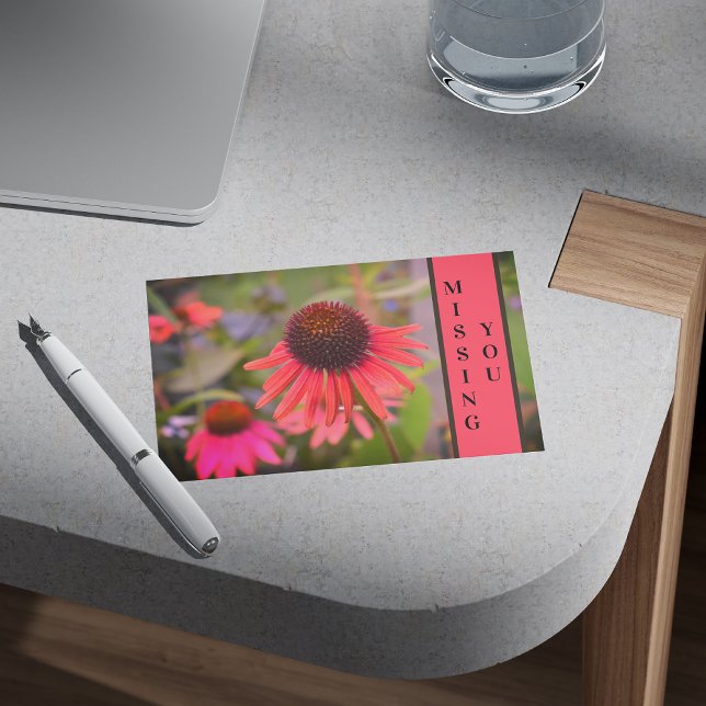 Roter Krebs Blume Echinacea Vermisst Sie Postkarte (Von Creator hochgeladen)