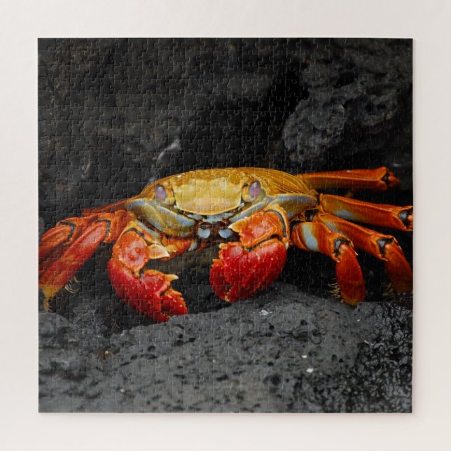 Roter Krebs-Jigsaw-Puzzle Puzzle (Vertikal)