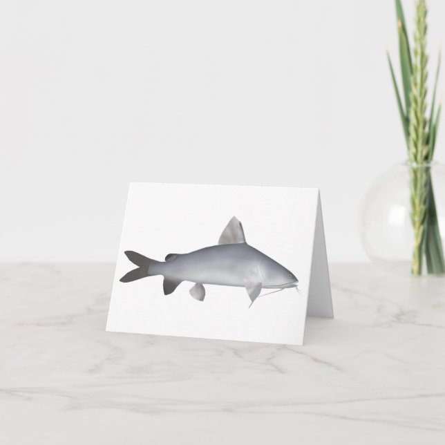 Roter Lachs (Vorderseite)
