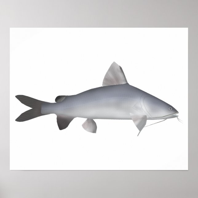 Roter Lachs Poster (Vorne)