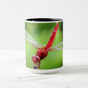 Roter Libellenbecher Tasse