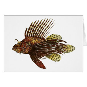 Roter Lionfish-Vintager Druck