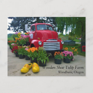 Roter Lkw mit Tulips, Oregon Postkarte