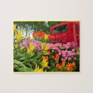 Roter Lkw mit Tulips, Oregon Puzzle
