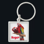 Roter Macaw Papagei Papageien Wasserfarben Schlüss Schlüsselanhänger<br><div class="desc">Bright Red Macaw Parrots Watercolor Art Key Ring,  mit einem vollständig anpassbaren Namen. Dieser prächtige Schlüsselring wäre ein großartiges Geschenk für jeden. Entworfen von mir aus einer meiner ursprünglichen makaw Aquarellfarben. Besonders lieblich,  so ein nützliches,  helles und glückliches Geschenk zu haben!</div>