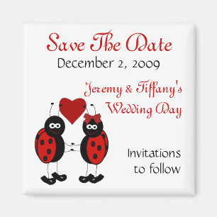 Roter Marienkäfer-Save the Date Magnet