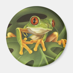 Roter mit Augen Baum-Frosch-Magnet Magnet