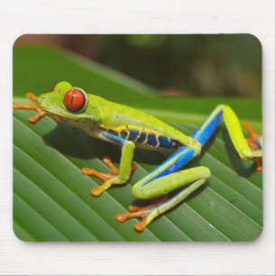Roter mit Augen Baum-Frosch Mousepad