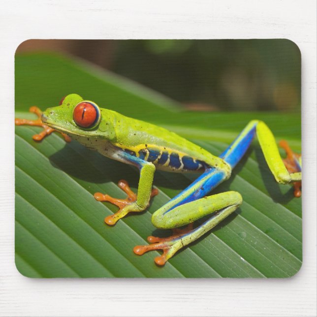 Roter mit Augen Baum-Frosch Mousepad (Vorne)