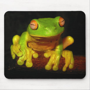 Roter mit Augen Baum-Frosch Mousepad
