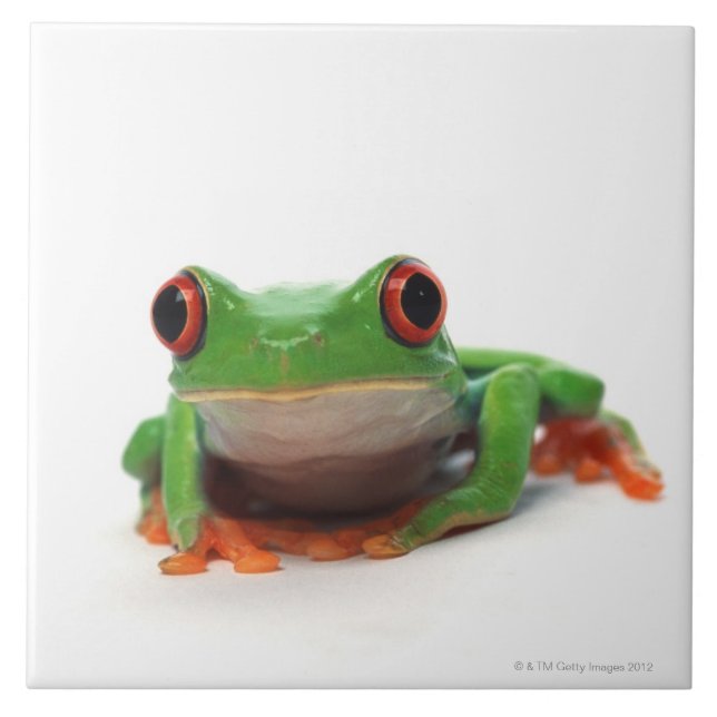 Roter mit Augen Baumfrosch 2 Fliese (Vorderseite)