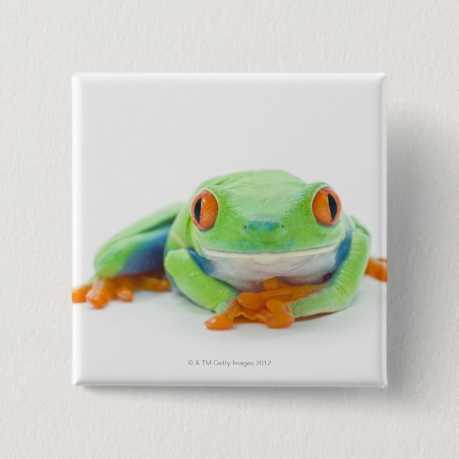 Roter Mit Augen Baumfrosch (Agalychnis Callidryas) Button (Vorderseite)