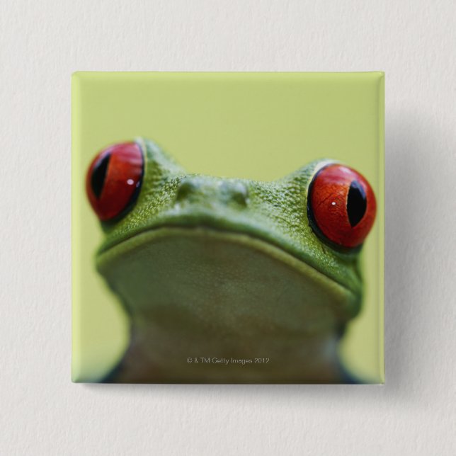 Roter mit Augen Baumfrosch (Agalychnis callidryas) Button (Vorderseite)
