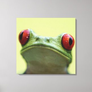 Roter mit Augen Baumfrosch (Agalychnis callidryas) Leinwanddruck
