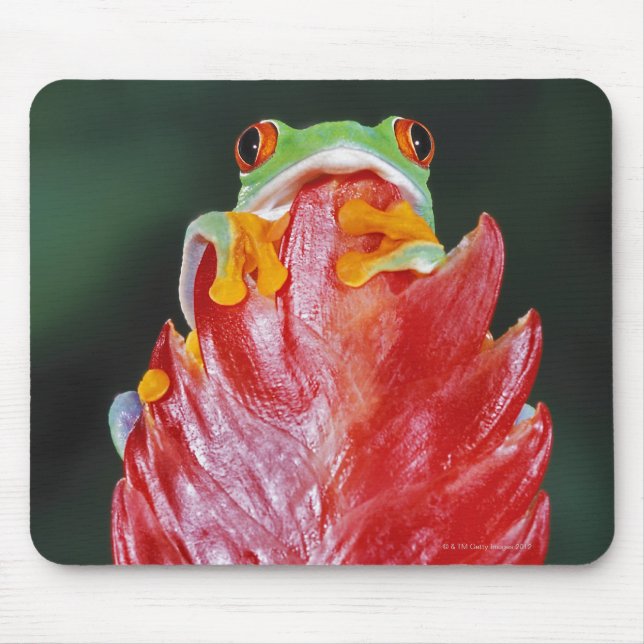 Roter Mit Augen Baumfrosch am Leaf Mousepad (Vorne)