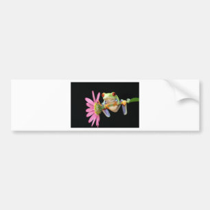 roter mit Augen Baumfrosch Autoaufkleber