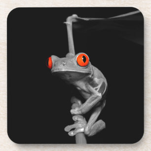 Roter Mit Augen Baumfrosch Getränkeuntersetzer