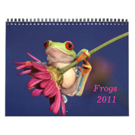 roter mit Augen Baumfrosch, Kalender der Frösche