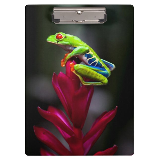 Roter mit Augen Baumfrosch Klemmbrett (Vorderseite)