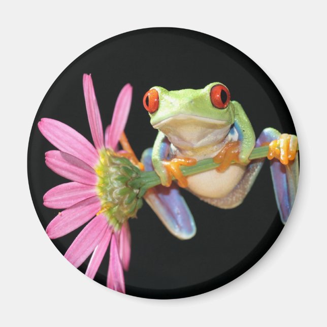 Roter mit Augen Baumfrosch Magnet (Vorne)