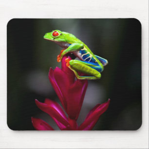Roter mit Augen Baumfrosch Mousepad