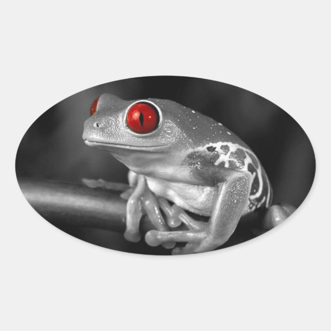 Roter Mit Augen Baumfrosch Ovaler Aufkleber (Vorderseite)