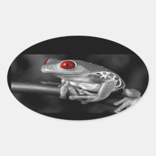 Roter Mit Augen Baumfrosch Ovaler Aufkleber