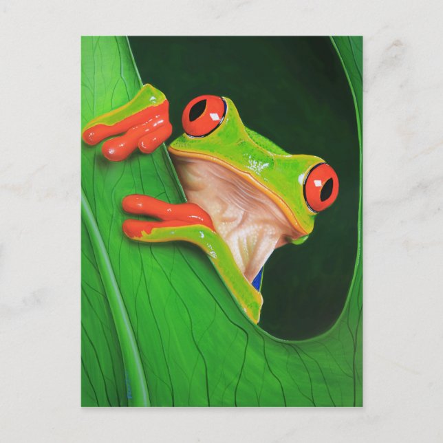 Roter Mit Augen Baumfrosch Postkarte (Vorderseite)