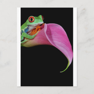 Roter mit Augen Baumfrosch Postkarte