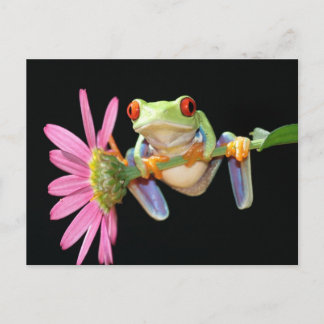 Roter mit Augen Baumfrosch Postkarte