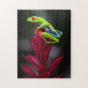 Roter mit Augen Baumfrosch Puzzle