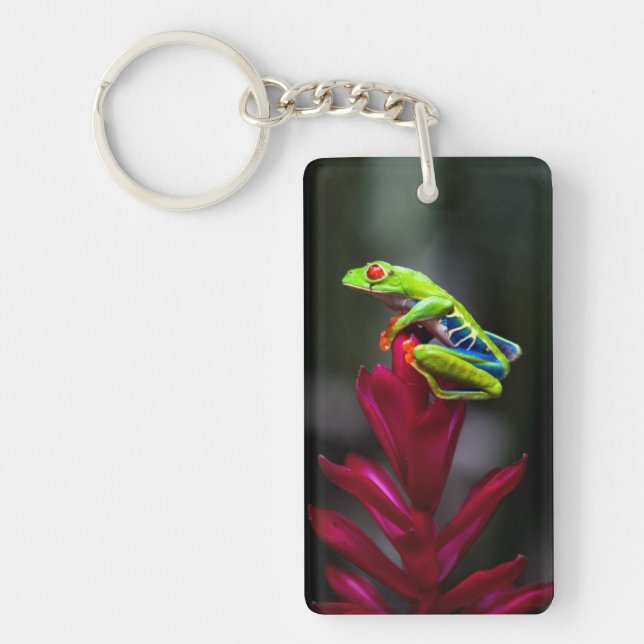 Roter mit Augen Baumfrosch Schlüsselanhänger (Vorderseite)