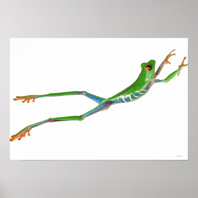 Roter mit Augen Baumfrosch springt Poster (Vorne)