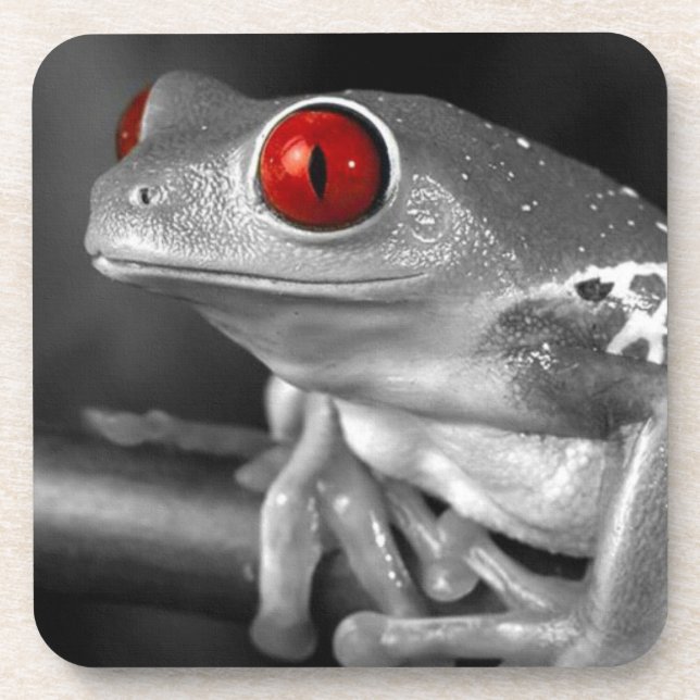 Roter Mit Augen Baumfrosch Untersetzer (Vorderseite)