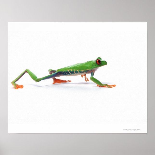 Roter mit Augen Frosch Poster (Vorne)
