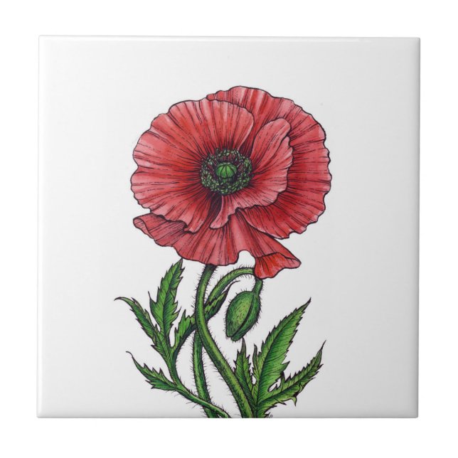 Roter Mohn, Aquarell und Tinte Fliese (Vorderseite)