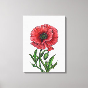 Roter Mohn, Aquarell und Tinte Leinwanddruck
