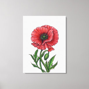 Roter Mohn, Aquarell und Tinte Leinwanddruck