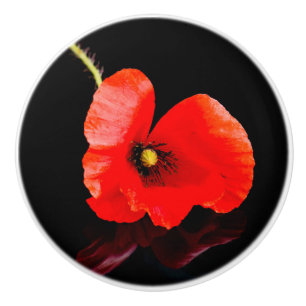 Roter Mohn aus Single auf schwarz Keramikknauf
