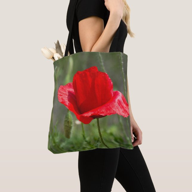 Roter Mohn-Blume (Von Nahem)