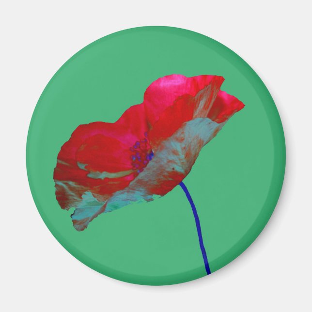Roter Mohn Blume auf smaragdgrünen Magnet (Vorne)