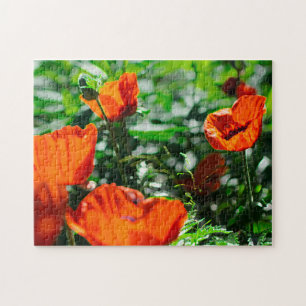 Roter Mohn Blume Garten Puzzle