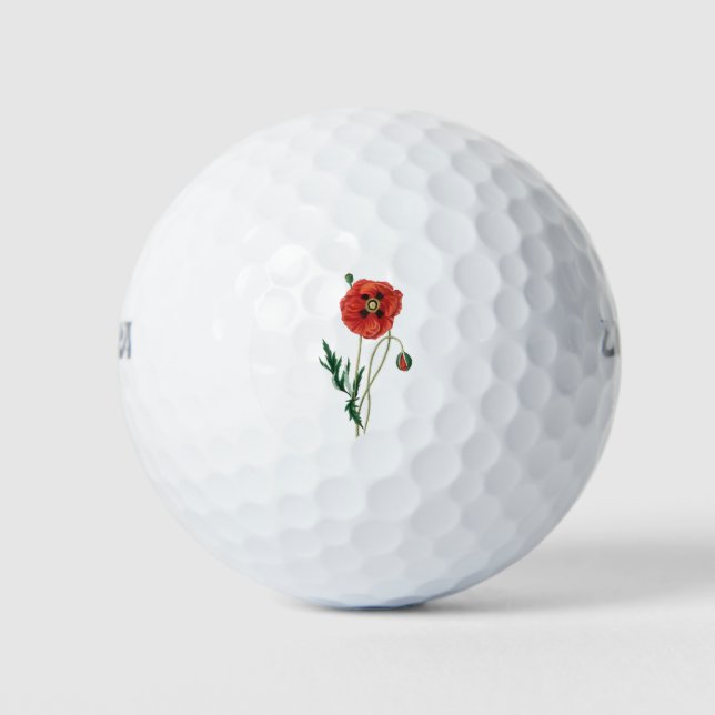Roter Mohn Blume Vintage Skizze Golfball (Vorderseite)