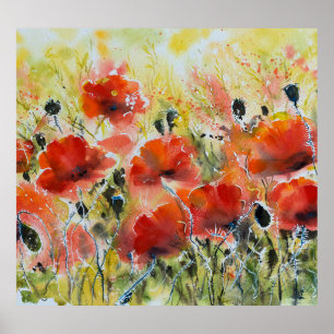 Roter Mohn Blume, weiche Wasserfarbe. Poster