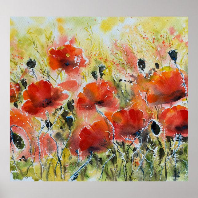 Roter Mohn Blume, weiche Wasserfarbe. Poster (Vorne)