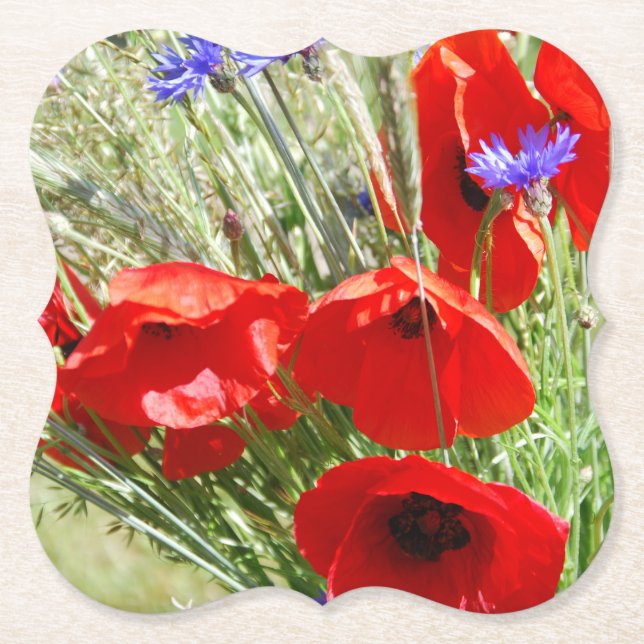 Roter Mohn, Hütte Garden Foto Untersetzer (Vorderseite)